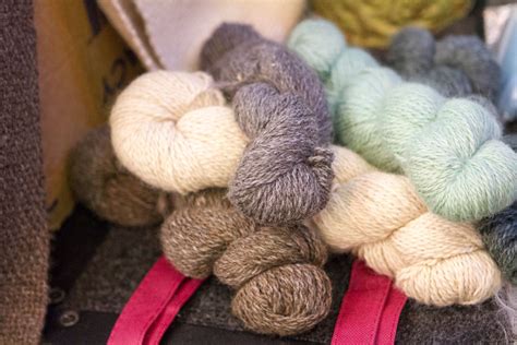 Alpaca: Il Fibre Naturale Superiore per l'Alta Moda e i Tessuti di Lusso!