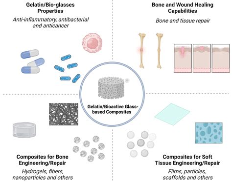  Bioactive Glass: Un rivoluzionario materiale per applicazioni biomediche e tissutali!