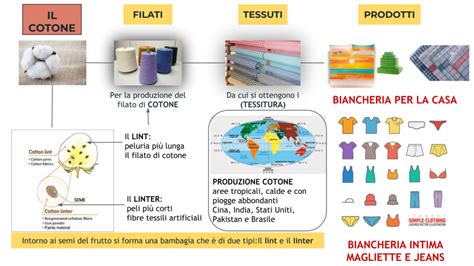  Cotone: La fibra naturale che abbraccia la moda e l'industria tessile!