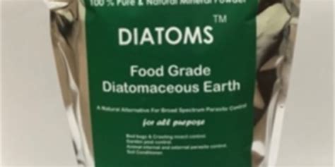  Diatomaceous Earth: L'Impareggiabile Materiale Naturale per la Filtrazione Industriale e l'Agricoltura Sostenibile?