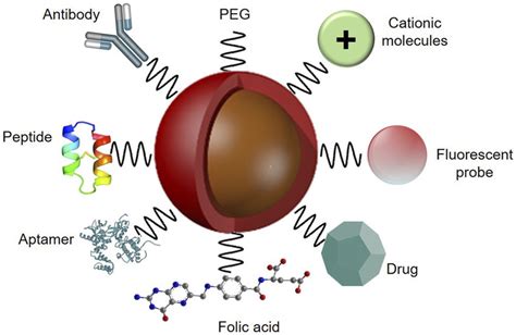  Diatomite Nanoparticelle: Rivoluzione Biocompatibili e Catalisi Avanzata!