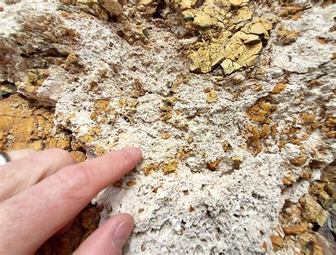 Diatomite: La pietra vulcanica che assorbe tutto! Un tuffo nell’universo dei materiali filtranti e fonoisolanti.