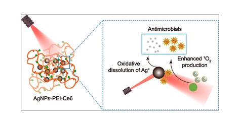  Erbio Nanosferes: Rivoluzione nella Terapia Fotodinamica e Bioimaging Avanzato!