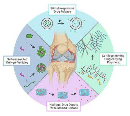 Fibrinogen: A Versatile Biomaterial for Enhanced Tissue Regeneration and Drug Delivery Systems!