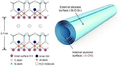  Halloysite Nanotubes: Un Esplorazione delle Nanostrutture Naturali per Applicazioni Avanzate!