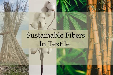  Hemp Fibrils: Una Rivoluzione Sostenibile per l'Industria Tessile e le Nuove Fibre di Alta Qualità!