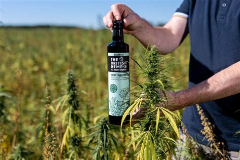 Hemp Seed Oil: A Sustainable Powerhouse for Biofuel Production and Eco-Friendly Lubricants!