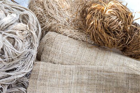  Hemp: La Fibra Magica per Tessuti Eco-Friendly e Prodotti Durabili!