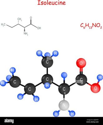  Isoleucinato: Un Aminoacido Essenziale per la Crescita Batterica e la Produzione di Alimenti Funzionali!