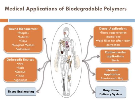  Lactide: Biodegradabile e Perfettamente Adatto per Applicazioni di Rigenerazione Tissutale?