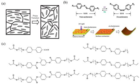  Liquid Crystalline Polymer: Un Materiale Meraviglioso per Applicazioni Optoelettroniche di Avanzata Tecnologia!