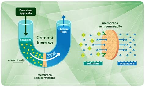  Membrana Polieteresulfonica: Rivoluzione nella Filtrazione e nell'Osmosi Inversa!