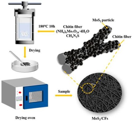  MoS2: Nanomaterial Miracle Worker for High-Performance Electronics and Flexible Energy Storage!