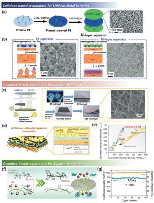 Nanocellulose: Una rivoluzione per le batterie ad alta capacità energetica e la progettazione di materiali innovativi!