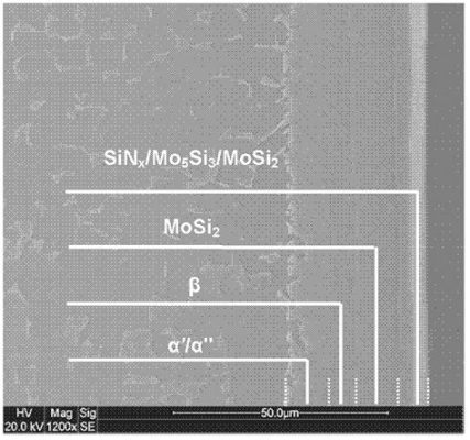 Nanocristalli di Nitruro di Titanio per Rivestimenti Resistenti all'Abrasione!