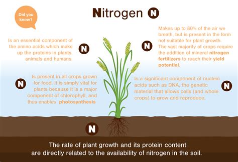 Nitrogênio: Un Minerale Indispensabile per la Produzione di Fertilizzanti e Materiali Compositi!