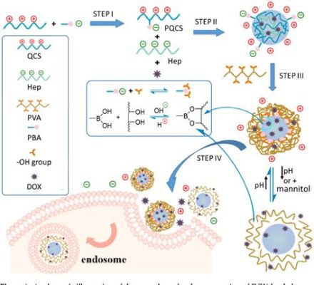  Quaternized Chitosan: A Biocompatible Superhero for Drug Delivery and Tissue Engineering?!