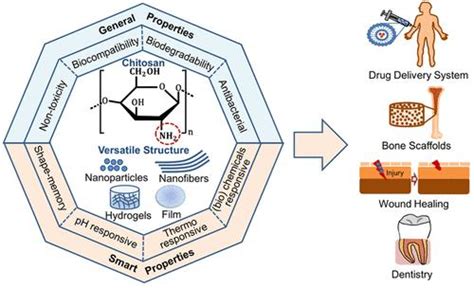 Quaternized Chitosan: Un Biomateriale rivoluzionario per Applicazioni Biomedicali e di Filtrazione Avanzata!