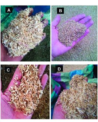  Quinoa Husks: Avanzati Biomateriali per l'Innovazione Sostenibile nel Settore dell'Edilizia!