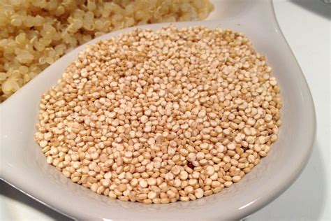  Quinoa: La Magia di un Pseudocereale per una Nuova Era Industriale!