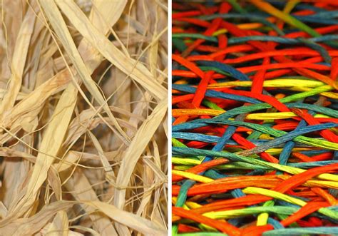  Raffia: Una Fibre Naturale Versatile per Applicazioni Tessili Innovativi!