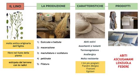  Ramie: Le sue Proprietà Meccaniche per Tessuti Resistenti e Durabili!