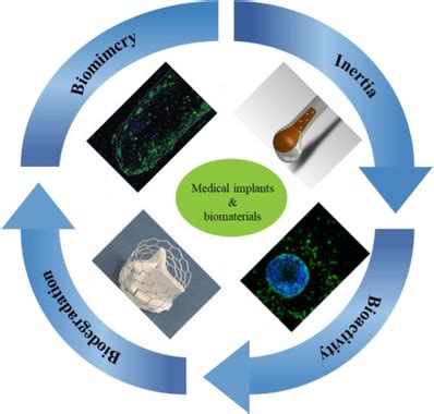  Resilon: Biomateriali Innovativi per Impianti Durabili e Biocompatibili!