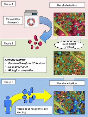  Resorbile polimero: Materiale rivoluzionario per l'ingegneria tissutale e la medicina rigenerativa?