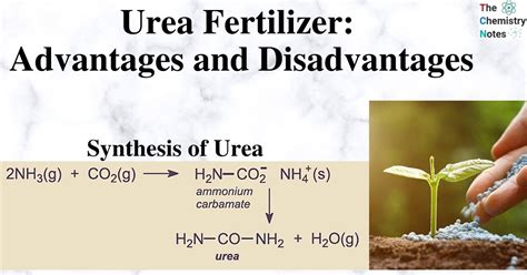  Urea: Il Fertilizzante che fa Crescere le Piante con un Sorriso!