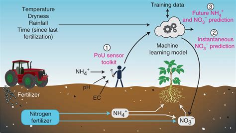  Urea come Fertilizzante Azotato: Un Pilastro per l'Agricoltura Moderna!