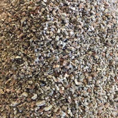  Vermiculite: Un Materiale Incredibile per Isolamento Termico e Agricoltura Sostenibile?