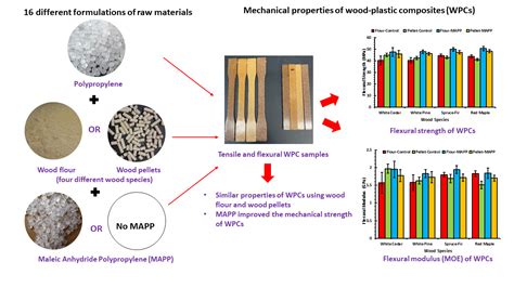 Wood–Plastic Composites per applicazioni Resistenti all’Usura!