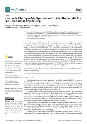 Wooollen Fiber: A Revolutionary Material for Enhanced Biocompatibility and Sustainable Tissue Engineering!