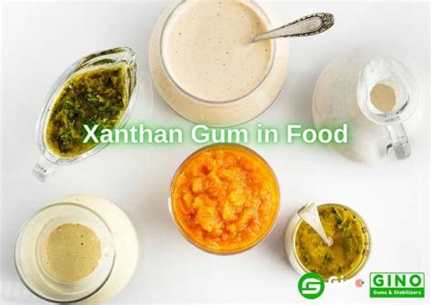 Xantano Gum: Una Materiale polimerica versatilissima per applicazioni biomedicali e alimentari!