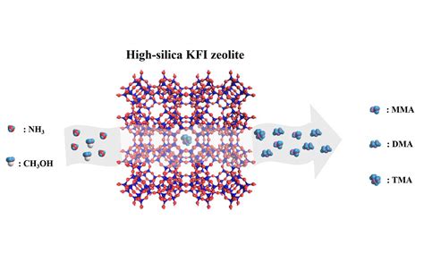 Zeolites: Permeabili Grandi Risposte ai Problemi di Separazione e Catalisi?