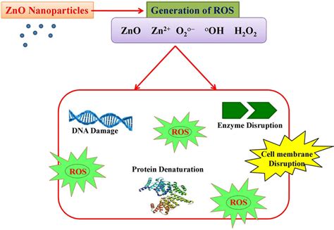  Zinc Oxide: Un potente antimicrobico e pigmento bianco per una vasta gamma di applicazioni!