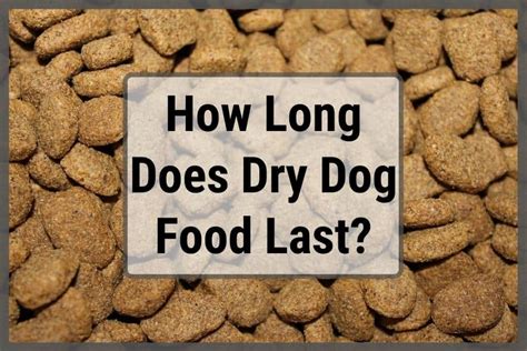 How Long Does Dry Dog Food Last Once Opened: A Comprehensive Guide