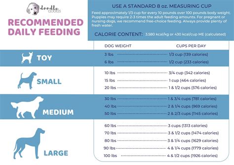 How Many Cups in 28 lbs of Dog Food: A Journey Through Measurement, Nutrition, and Canine Quirks