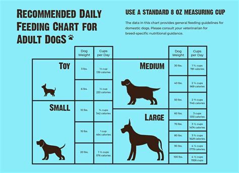 How Many Cups in a Pound of Dry Dog Food: A Journey Through Measurement and Canine Nutrition