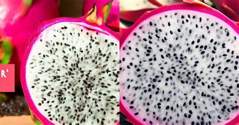 How to Tell If Dragon Fruit Is Bad: A Comprehensive Guide to Understanding the Mysteries of Exotic Fruits