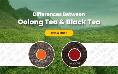 Is Oolong Tea Black Tea? Exploring the Intricacies of Tea Classification